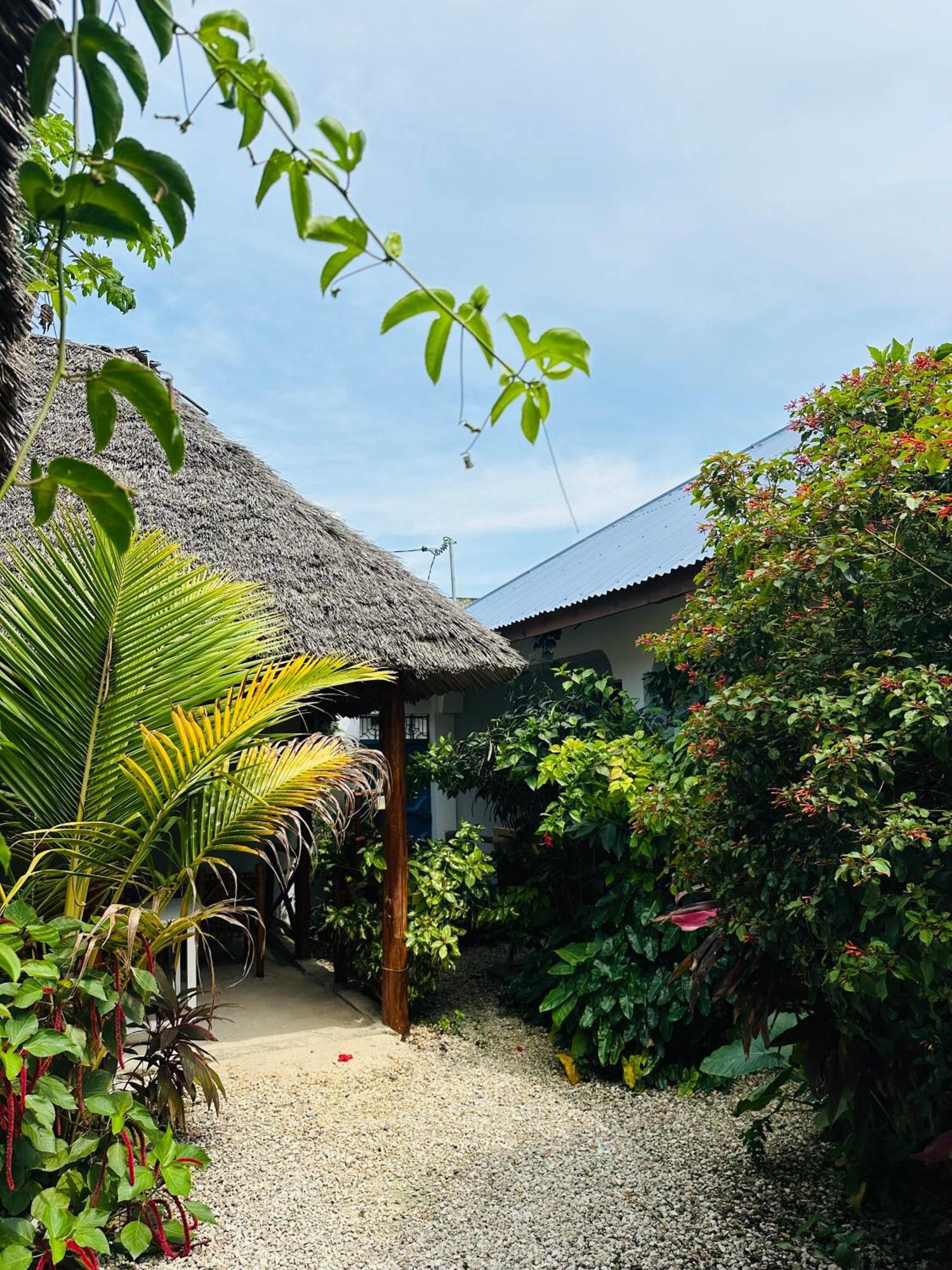 Lighthouse Guesthouse Nungwi Buitenkant foto